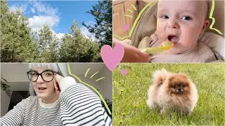 айфон влог  // уехали в деревню, природа 😍 современное искусство 😁 покупки для Вити