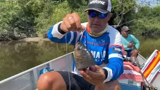 PESCARIA LOUCA, NO VAREJÃO