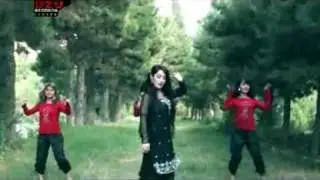 Gul Roh