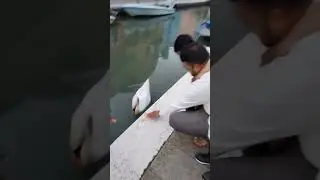 🇧🇩❤️🇮🇹2023
