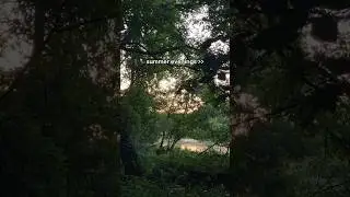 june 20th, 9:16pm 🌅🦌🌿🤍🏞️🌳 #shorts #nature #wildlife #sunset #river #riverview #deer