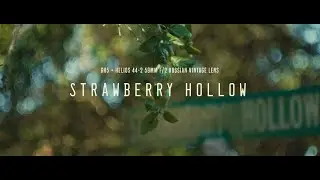 Strawberry Hollow (GH5 + Helios 44-2 58mm f/2) (Russian Vintage Lens)