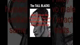 The UFO Community RARELY Speak On.... #fypシ゚viral #extraterrestrial #ufoキャッチャー #tall #black #alien