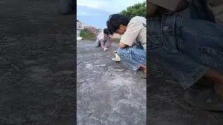 📱👀New Style Videography #trending #trendingshorts #viralshort #shorts #youtube