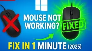 Mouse Not Working or Lagging? Instant Fix for Windows 10/11!