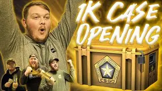 I Will Never Financially Recover From This $1,000 Case Opening...