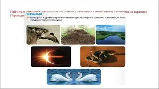 Экологиялық мәдениет және тыйым сөздер 10 сынып, 3 сабақ