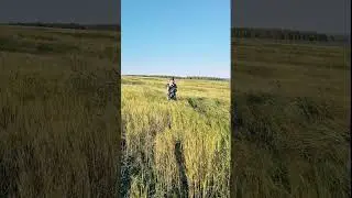 И однажды возвращается всё 