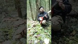 Last of us в лесу на балалайке