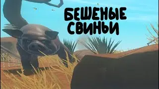 БЕШЕНЫЕ СВИНЬИ Raft #18