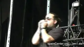 The Toasters en Viña Rock 2015
