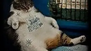 БАНЯ В ЗОНЕ