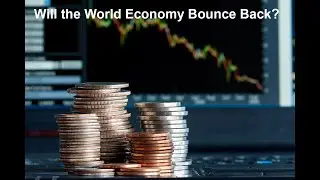 Will the World Economy Bounce Back?