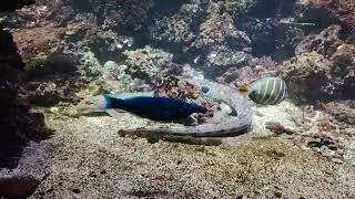 zoo Ostrava