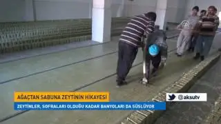 Ağaçtan Sabuna Zeytinin Hikayesi