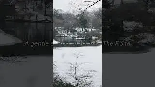Gentle Winter Snowfall in Central Park 🌨️