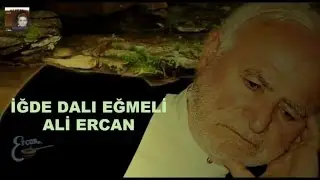 ALİ ERCAN - İĞDE DALI EĞMELİ