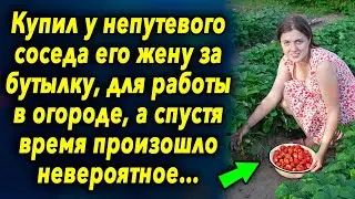 Купил у непутевого соседа за бутылку для работы в огороде, а спустя время, произошло невероятное…
