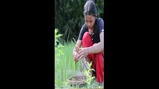 Find fishing in the fields to grill delicious food #shorts