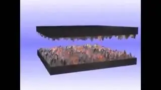 Механизм действия Форум