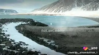 Fozil qori taloq xaqida