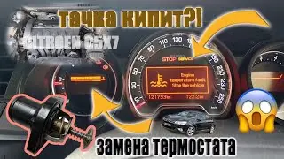 Как поменять термостат Citroen C5X7 (EW10a двигатель)