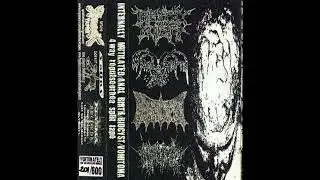 Internally Mutilated / Anal Birth / Biocyst / Vomitoma - 4-Way Repulseorhea Split (Full Album)