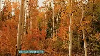 What I Had - deep emotional type beat w/ vocals