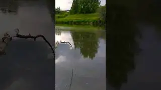 Рыбалка На Корягу 😂😂😂 