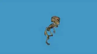 3D Skeleton