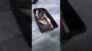 Зимняя рыбалка