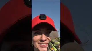 Это вам никто не покажет! 