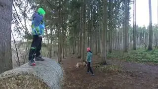 180 VR - Christmas trip with dog