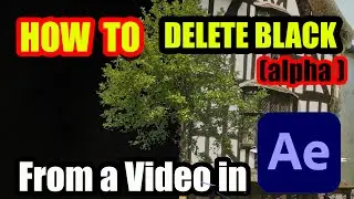 HOW TO Delete the Black Alpha from a Video (After Effects Tutorial)