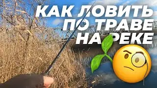 Все секреты ловли окуня осенью по холодной воде! Как ловить по траве на реке?