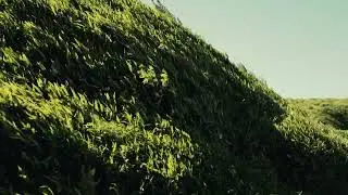 aus - Stipple Realm (snippet)