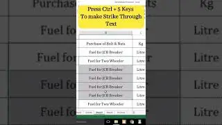 Ctrl + 5 Strike Through Text in MS Excel