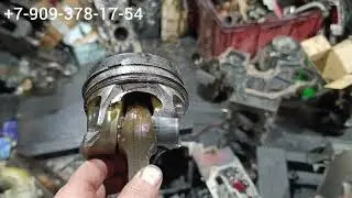 Газель Камминз, чем громче стук, тем хуже последствия