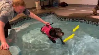 Molly Swimming