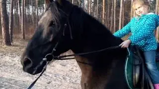 Учимся ездить на лошади!