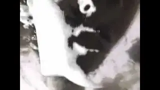 The Beat - Drowning [Music Video]