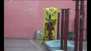 Lion Dance- Back Flip! Behind Scenes World Titles, Genting