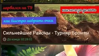🐜🐜the ants увийство армии свс сильнейший район районный спор  как набрать больше всего очков