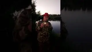 Отпускаем карпенка