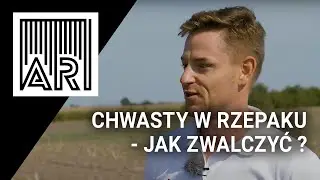 Chwasty w rzepaku - Jak zwalczyć ? || #219