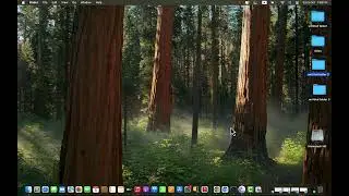 How to Install & Activate SPSS Statistics 30 MAC