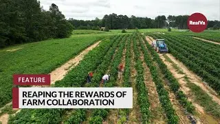 Reaping the Rewards of Farm Collaboration