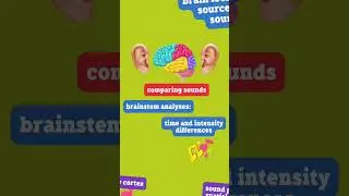 How do you hear?