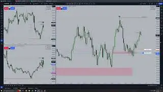 Turtle Soup Long - ICT Concepts