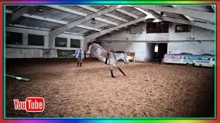 Атмосферное видео / Январь